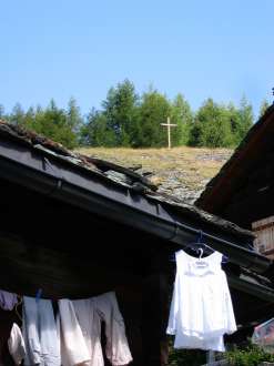 IMG_4441.JPG
